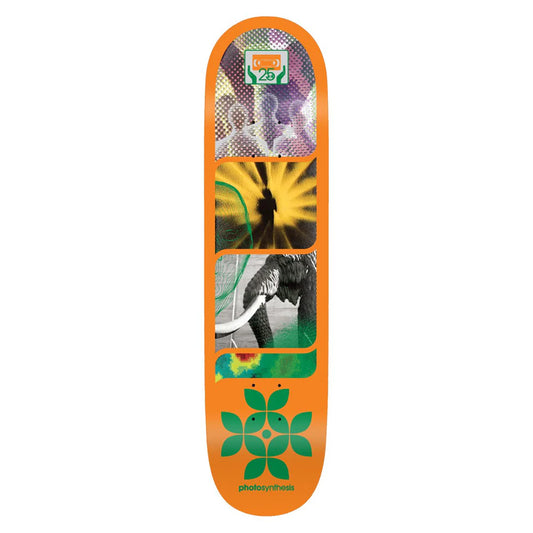 Photosynthesis Deck